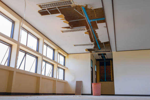 Best Flood restoration services  in Brookdale, CA