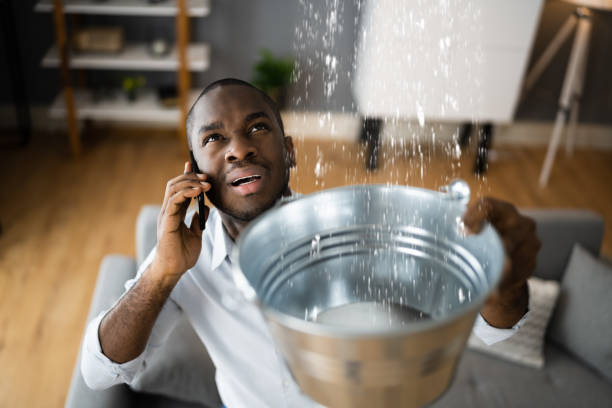 Best Flood restoration services  in Brookdale, CA