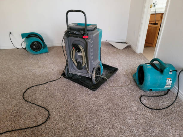 Best Water damage restoration specialists  in Brookdale, CA