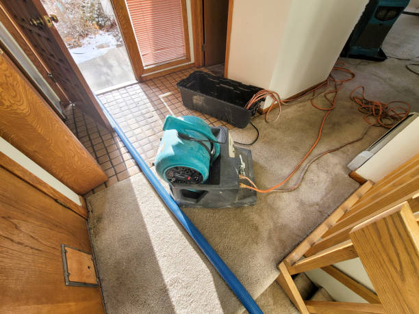 Best Sewage cleanup and water damage restoration  in Brookdale, CA