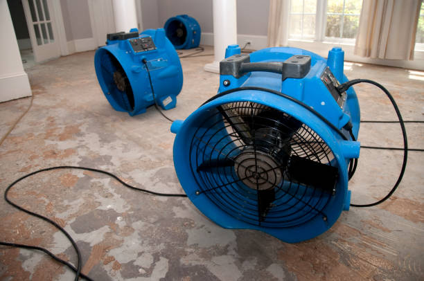 Best Water damage restoration near me  in Brookdale, CA