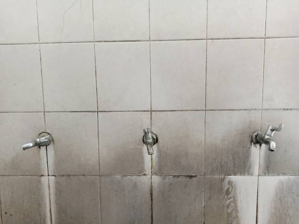  Brookdale, CA Water damage restoration Pros